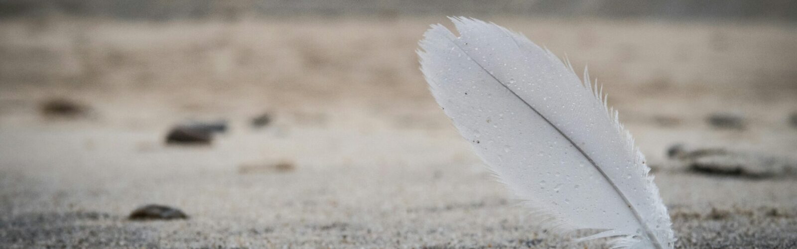 Le Souffle d'Indiana